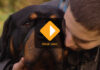 Les 4 clip 3 over gezins begeleiding